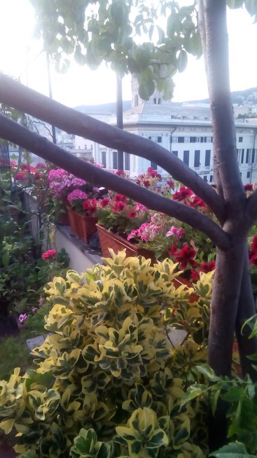Bed And Breakfast " La Terrazza" Genoa Bagian luar foto